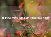 球小迷足球竞彩揭秘市场中的独特魅力与策略