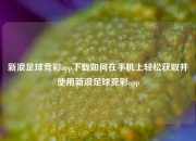 新浪足球竞彩app下载如何在手机上轻松获取并使用新浪足球竞彩app