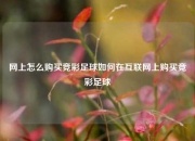 网上怎么购买竞彩足球如何在互联网上购买竞彩足球