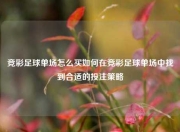 竞彩足球单场怎么买如何在竞彩足球单场中找到合适的投注策略