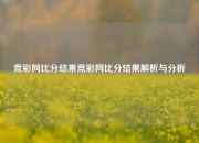 竞彩网比分结果竞彩网比分结果解析与分析