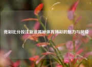 竞彩比分投注新浪揭秘体育博彩的魅力与风险