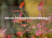 竞彩310比分预测揭秘足球市场的神秘面纱