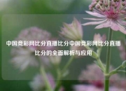 中国竞彩网比分直播比分中国竞彩网比分直播比分的全面解析与应用