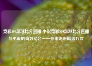 竞彩500足球比分直播 小说竞彩500足球比分直播与小说的奇妙结合——探索未来阅读方式