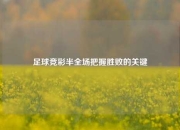 足球竞彩半全场把握胜败的关键