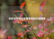 竞彩足球情报把握胜算的关键因素