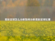 竞彩足球怎么分析如何分析竞彩足球比赛
