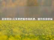 足球竞彩5元实单把握市场机遇，提升投资收益