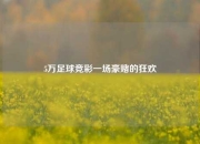 5万足球竞彩一场豪赌的狂欢