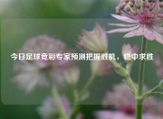 今日足球竞彩专家预测把握胜机，稳中求胜