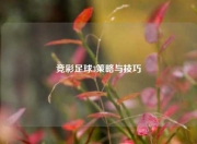 竞彩足球3策略与技巧