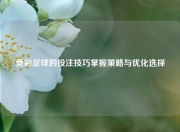竞彩足球的投注技巧掌握策略与优化选择
