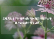 足球竞彩串子计算表格如何利用足球竞彩串子计算表格进行科学决策