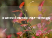 竞彩足球大小球规则竞彩足球大小球规则解析