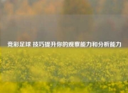 竞彩足球 技巧提升你的观察能力和分析能力
