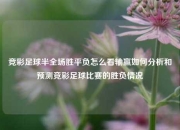 竞彩足球半全场胜平负怎么看输赢如何分析和预测竞彩足球比赛的胜负情况