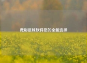 竞彩足球软件您的全能选择