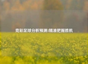 竞彩足球分析预测1精准把握胜机