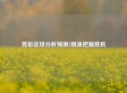 竞彩足球分析预测1精准把握胜机