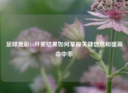 足球竞彩14开奖结果如何掌握关键信息和提高命中率