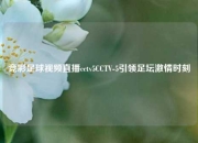竞彩足球视频直播cctv5CCTV-5引领足坛激情时刻