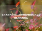 足球竞彩网混合过关足球竞彩网混合过关玩法解析与实战技巧
