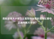 竞彩足球大小球怎么看如何在竞彩足球比赛中正确判断大小球？