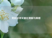 竞彩足球买量比理解与策略