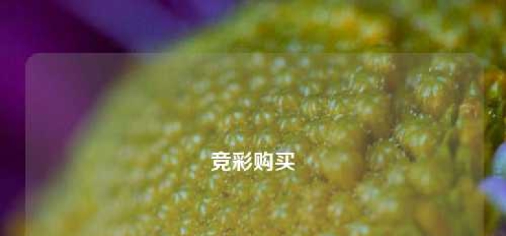 竞彩购买