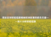 竞彩足球欧赔指数揭秘欧洲联赛的胜负关键——深入分析欧赔指数
