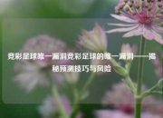 竞彩足球唯一漏洞竞彩足球的唯一漏洞——揭秘预测技巧与风险