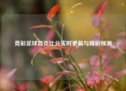 竞彩足球首页比分实时更新与精彩预测