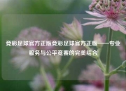 竞彩足球官方正版竞彩足球官方正版——专业服务与公平竞赛的完美结合