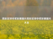 竞彩足球中奖彩票图片竞彩足球中奖彩票图片大全