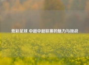 竞彩足球 中超中超联赛的魅力与挑战