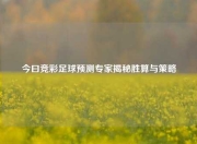 今曰竞彩足球预测专家揭秘胜算与策略