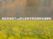 竞彩足球这个app好么这款手机应用的全面解析
