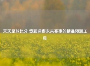 天天足球比分 竞彩洞察未来赛事的精准预测工具