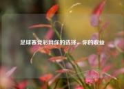 足球赛竞彩网你的选择，你的收益