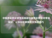中国竞彩网足球单场揭秘中国竞彩网足球单场玩法，让你轻松掌握胜负预测技巧