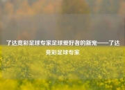 了达竞彩足球专家足球爱好者的新宠——了达竞彩足球专家