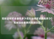 竞彩足球奖金最高多少竞彩足球奖金最高多少？揭秘顶级赛事的高额回报