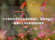 十大竞彩足球竞彩推荐掌握技巧，享受精彩——揭秘十大竞彩足球竞彩推荐
