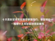 十大竞彩足球竞彩推荐掌握技巧，享受精彩——揭秘十大竞彩足球竞彩推荐