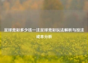足球竞彩多少钱一注足球竞彩玩法解析与投注成本分析