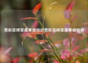 竞彩足球亚盘基础知识竞彩足球亚盘基础知识