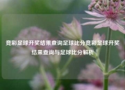 竞彩足球开奖结果查询足球比分竞彩足球开奖结果查询与足球比分解析