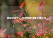 竞彩足球王app您的专属足球竞技伙伴
