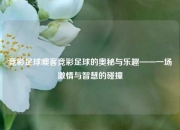 竞彩足球噢客竞彩足球的奥秘与乐趣——一场激情与智慧的碰撞